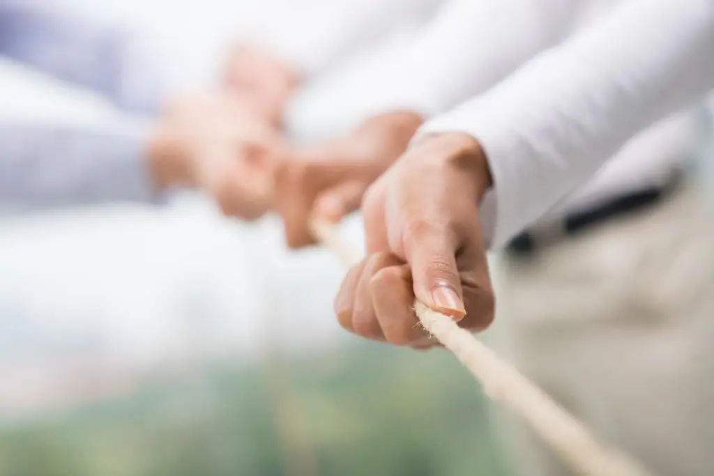 Vertriebspartnerschaften im B2B: Wenn alle an einem Strang ziehen